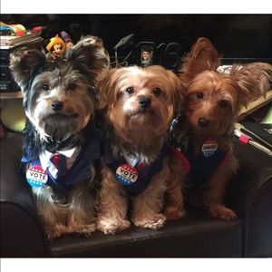 Meet your Posher, Erika